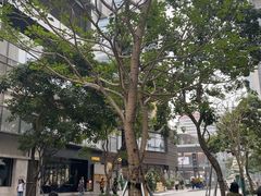 -誉八仙粤菜(万象天地店)