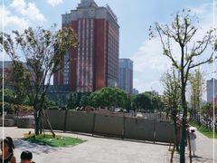 -中南大学湘雅医院