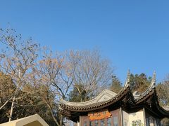 -旺山景区