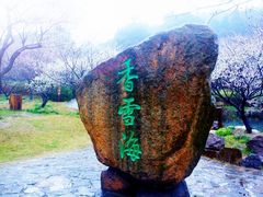 -香雪海