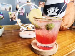 西柚苏打-柴犬高等学院·狗咖·柴犬售卖·宠物训练