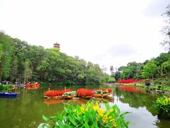 -深圳仙湖植物园