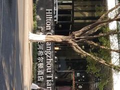 -广州天河希尔顿酒店