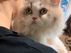 -Wagas沃歌斯(大学路店)