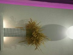 -谷田稻香·砂锅菜(西乡天虹店)