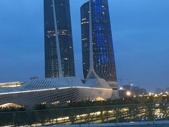 -南京眼步行桥