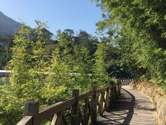 -广州市流溪河国家森林公园