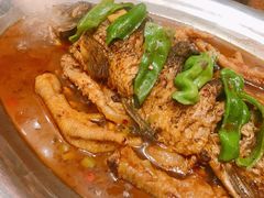 黄河大鲤鱼-大地烙馍村(商城路店)