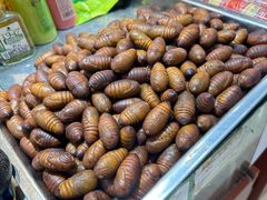 -道里菜市场