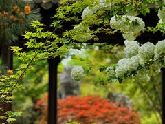 -台州府城(东湖)