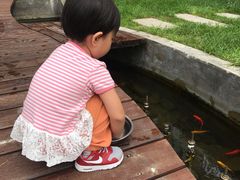 -大于烧烤