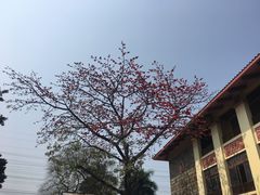 -鹅公村·国家非遗传承(荔湾店)