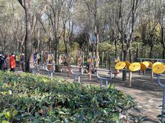 -唐城墙遗址公园