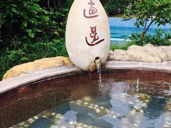 -金孔雀温泉旅游度假村