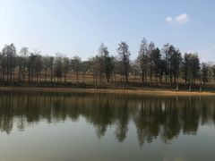 -松山湖南湖湾露营营地