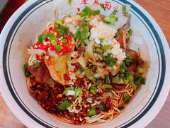 麻辣鸭子和麻辣牛肉双拼-李易面馆(树木岭店)