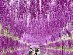 -观澜湖生态运动公社