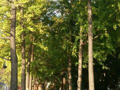 -云南民族大观园