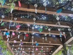 -雪山彩虹谷景区