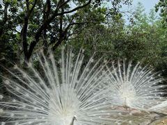 -泉州海丝野生动物世界