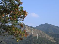 -羚羊峡古栈道森林公园