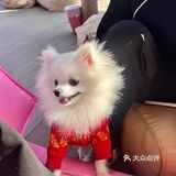 - 挖到了一家很舒服的小店啊 环境真的很让人放松