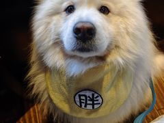 -南山竹海·珍味堂