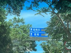 -杨梅坑