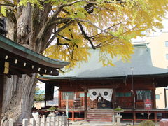 -医王山·飞騨国分寺