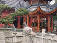 -上海东林寺(金山区)