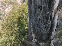 -西华公园
