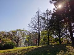 -四海公园(南山区)
