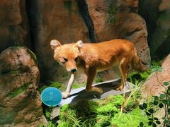 -湖南省地质博物馆