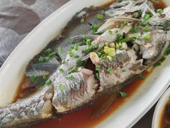 -晓琦农家菜馆·地道农家菜