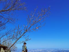 -北京鹫峰国家森林公园