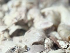 -小辫子羊肉面馆(周东店)