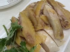 -陈记粤湛鸡饭店