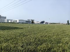 -兴芮温泉度假区