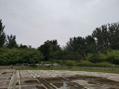 -廊坊市自然公园