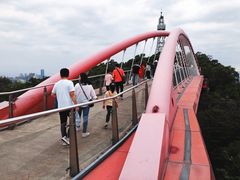 -金鸡山公园