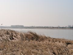 -绿堤公园
