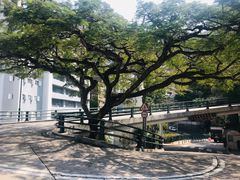 -香港大学