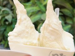 -野人先生Gelato(上海长宁龙之梦店)