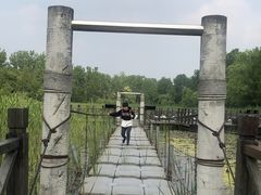-溱湖国家湿地公园