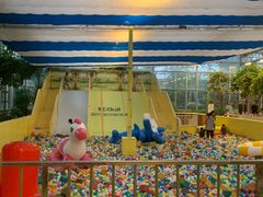 -南宫五洲植物乐园