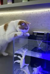 -蚂蚁造型俱乐部