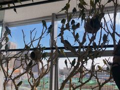 -昆明大悦城未来动物城(螺蛳湾中心店)