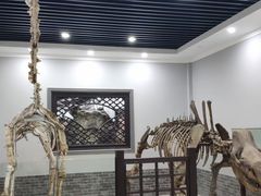 -游龙石文化科普馆