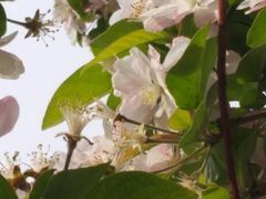 -丰台科技园生态主题公园