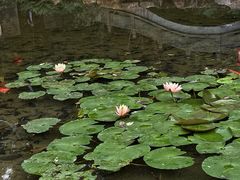 -深圳国际园林花卉博览园